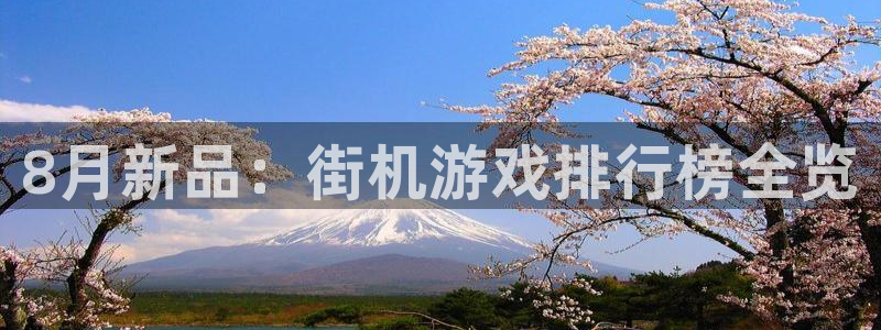 亿万28官网注册方法是什么意思：8月新品：街机游戏排行榜全览