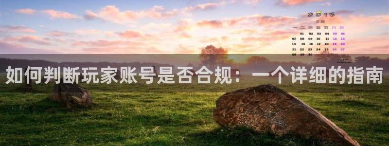 亿万28官网登录注册账号：如何判断玩家账号是否合规：一个详细的指南