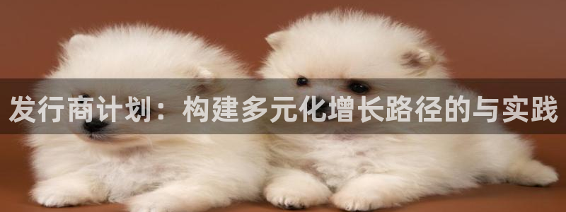 亿万28价格：发行商计划：构建多元化增长路径的与实践