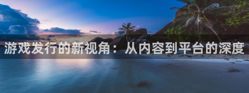 亿万28官网平台会黑款吗：游戏发行的新视角：从内容到平台的深度