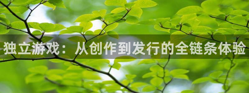 亿万28子上市：独立游戏：从创作到发行的全链条体验