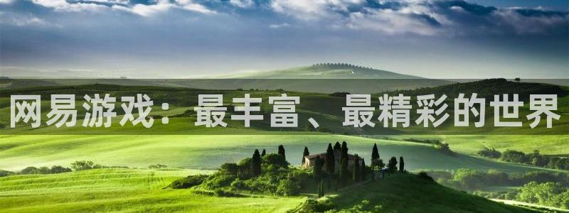 广州亿万28网络科技有限公司怎么样：网易游戏：最丰富、最精彩的世界