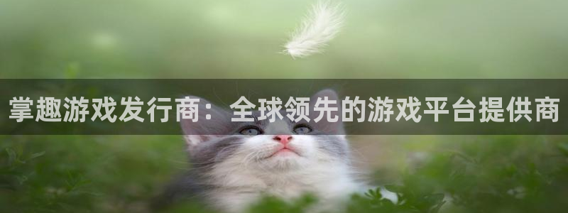 亿万28官网注册方法是什么：掌趣游戏发行商：全球领先的游戏平台提供商
