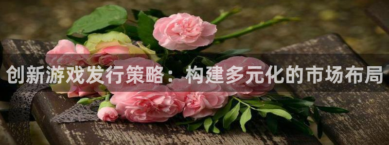亿万28官网登录注册账号安全吗安全吗：创新游戏发行策略：构建多元化的市场布局