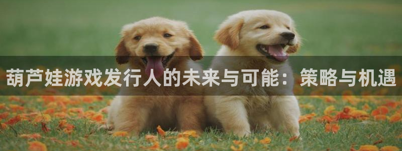 lvnces亿万28衣服：葫芦娃游戏发行人的未来与可能：策略与机遇