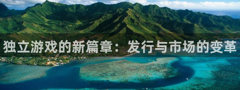 亿万28集团是什么企业：独立游戏的新篇章：发行与市场的变革