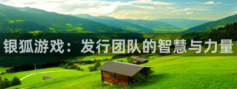 亿万28官网怎么注册账号：银狐游戏：发行团队的智慧与力量