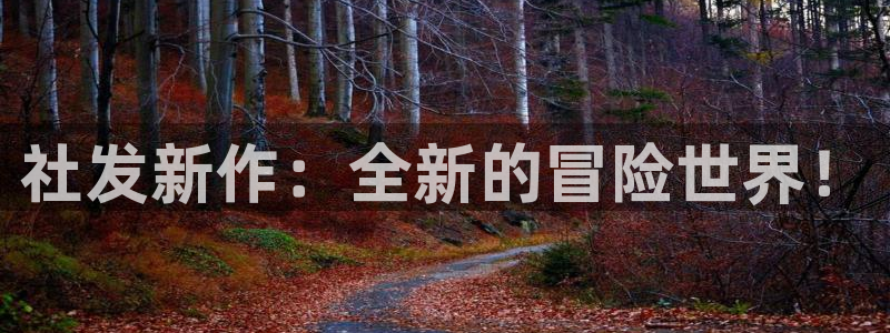 广州亿万28网络科技有限公司怎么样