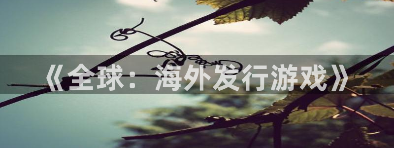 亿万28官网客服服务电话：《全球：海外发行游戏》