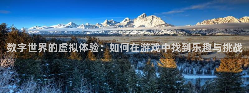 亿万28集团有限公司：数字世界的虚拟体验：如何在游戏中找到乐趣与挑战